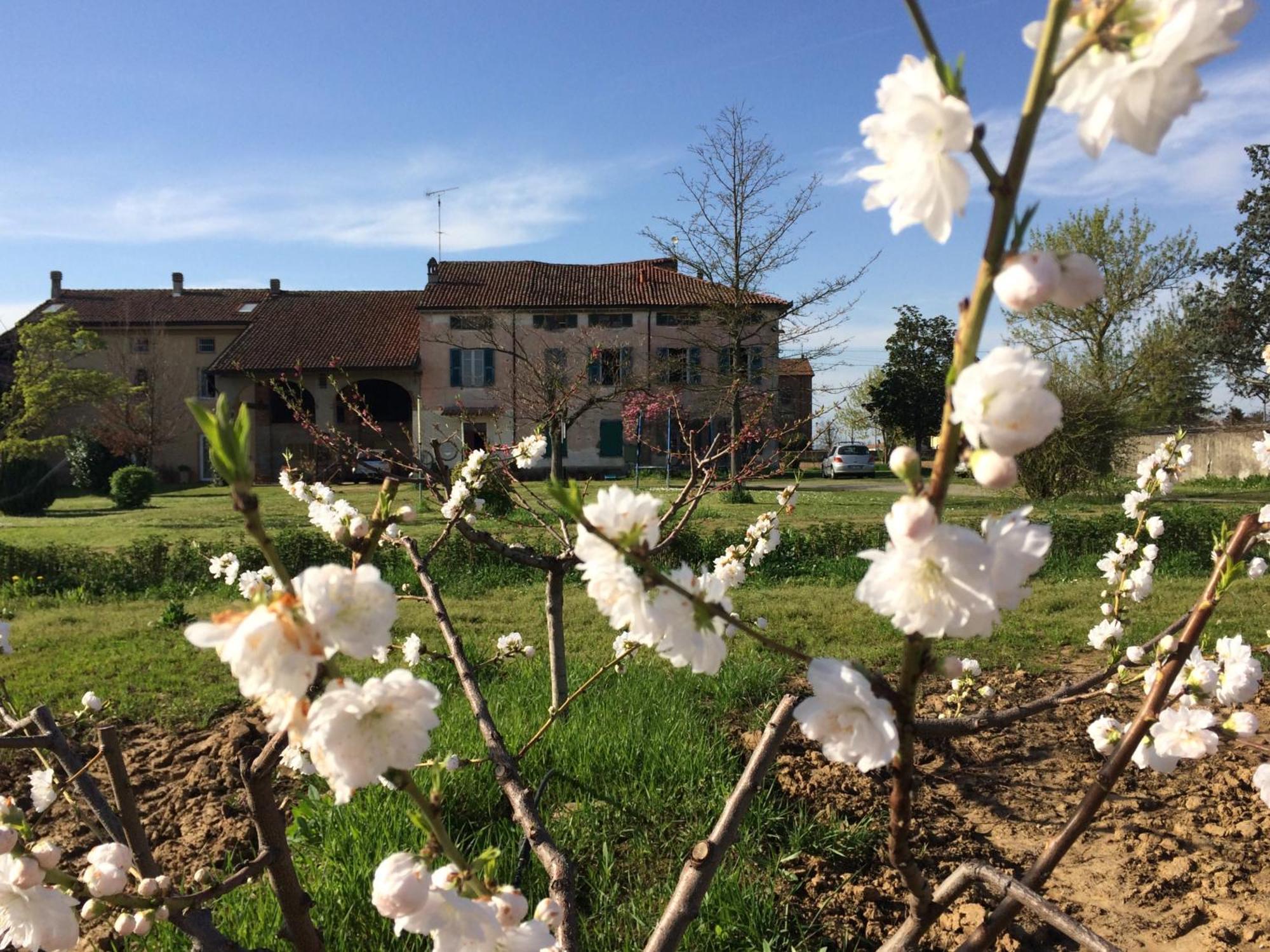Hotel Fattoria Del Soul Bosco Marengo Exteriér fotografie
